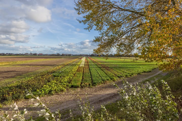 Foto 53 van 3e Loosterweg 50-A