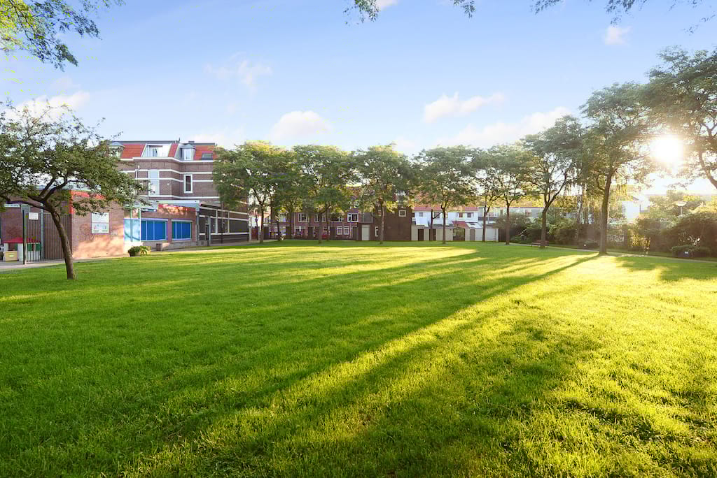 Foto 42 van Sint Olofsstraat 21-C