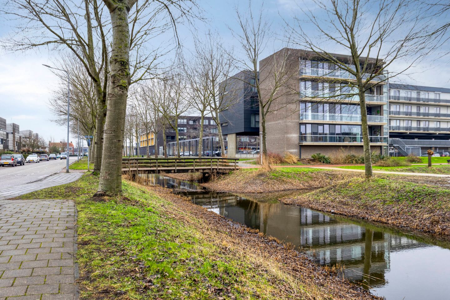 Photo 25 of Scholeksterstraat 11