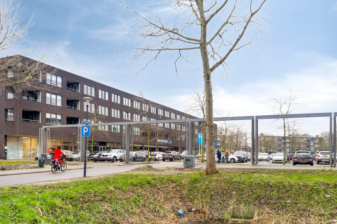 Photo 26 of Scholeksterstraat 11