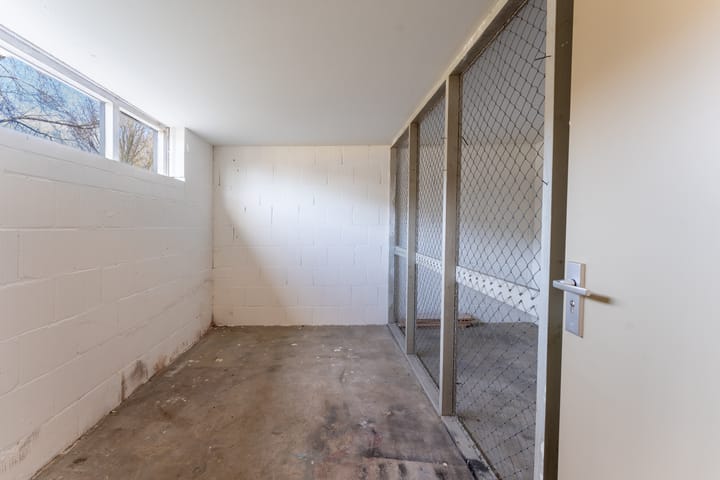 Foto 22 van Schaepmanstraat 29