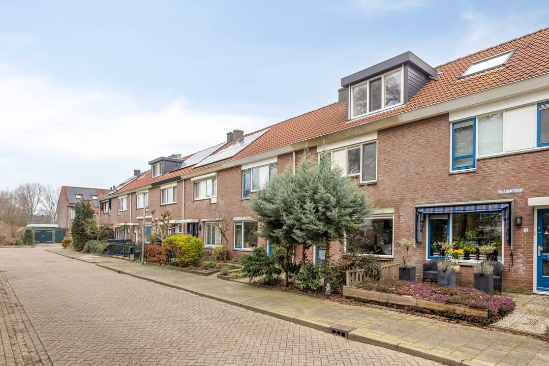 Foto 8 van Bladmoshof 20