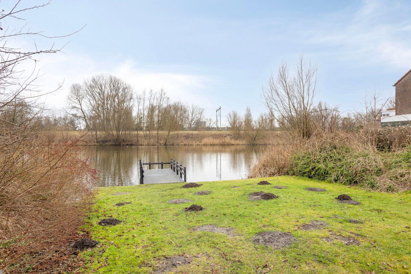 Foto 40 van Bladmoshof 20