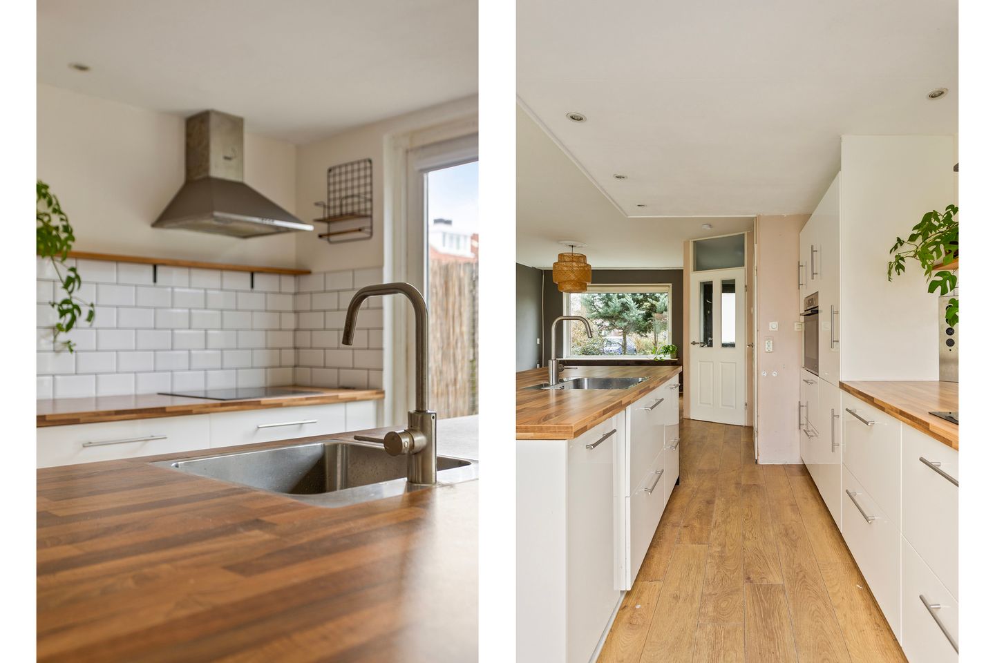 Foto 19 van Bladmoshof 20