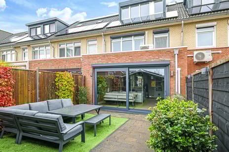 Paardenbloem thumbnail