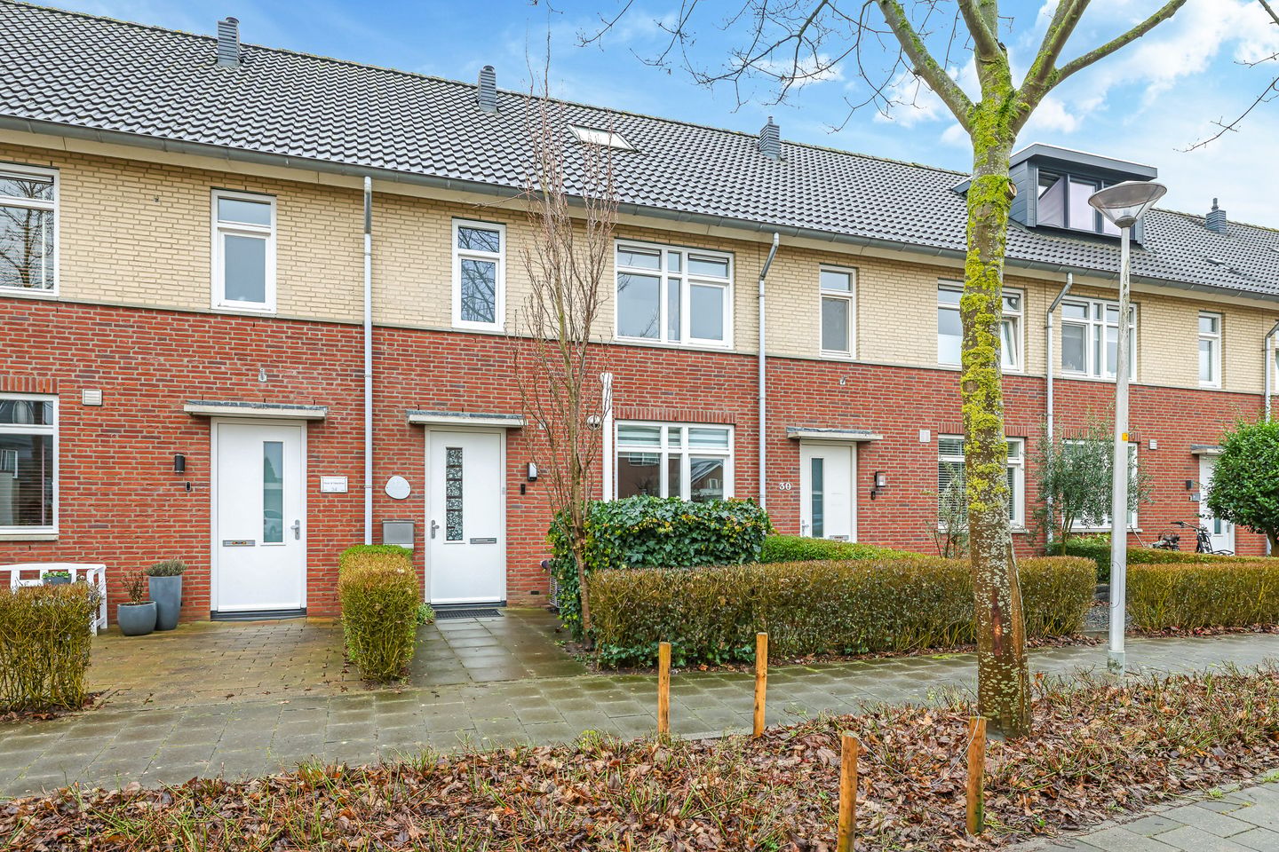 Photo 10 of Paardenbloem 32