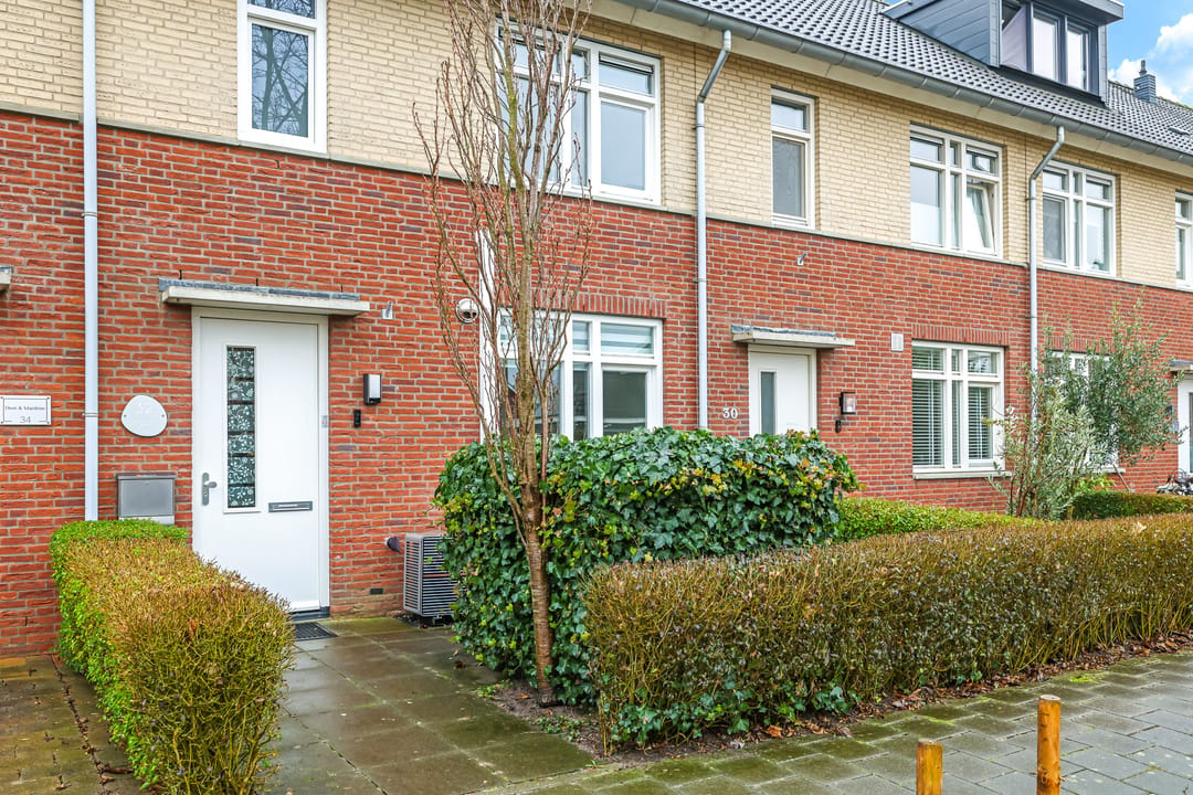 Photo 11 of Paardenbloem 32