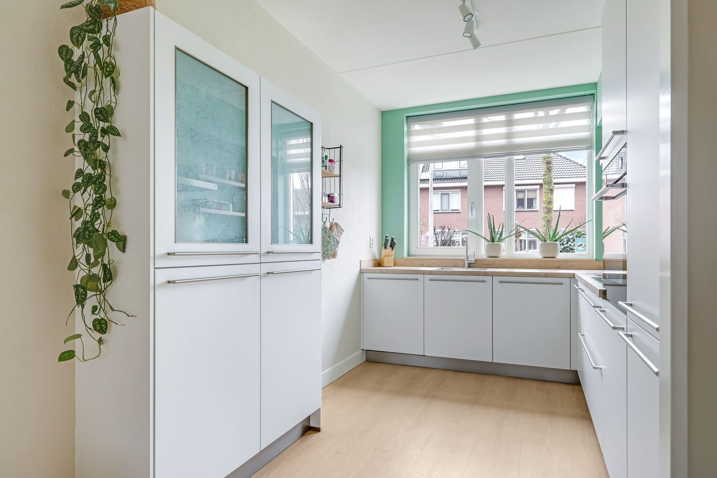Photo 29 of Paardenbloem 32