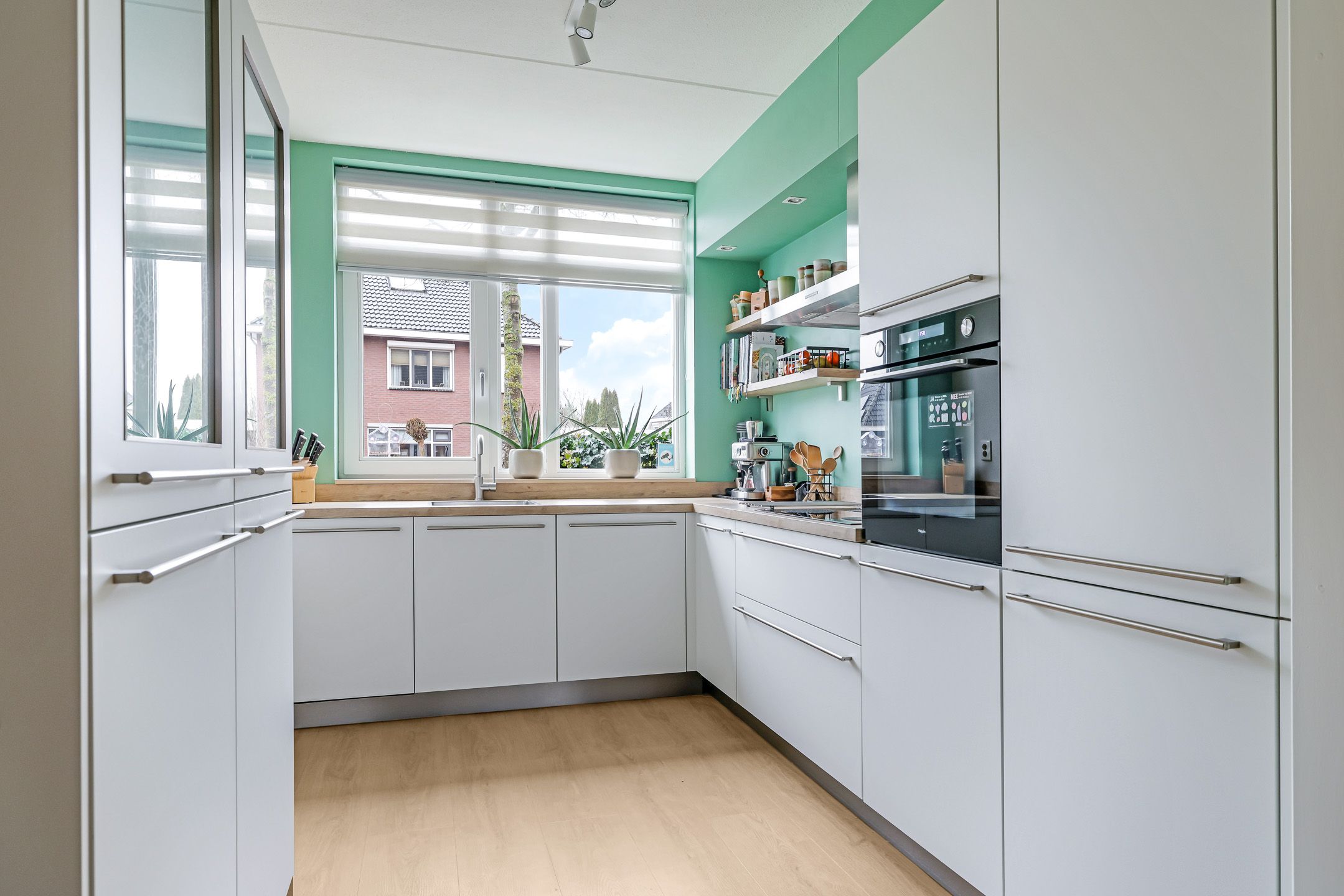 Photo 30 of Paardenbloem 32