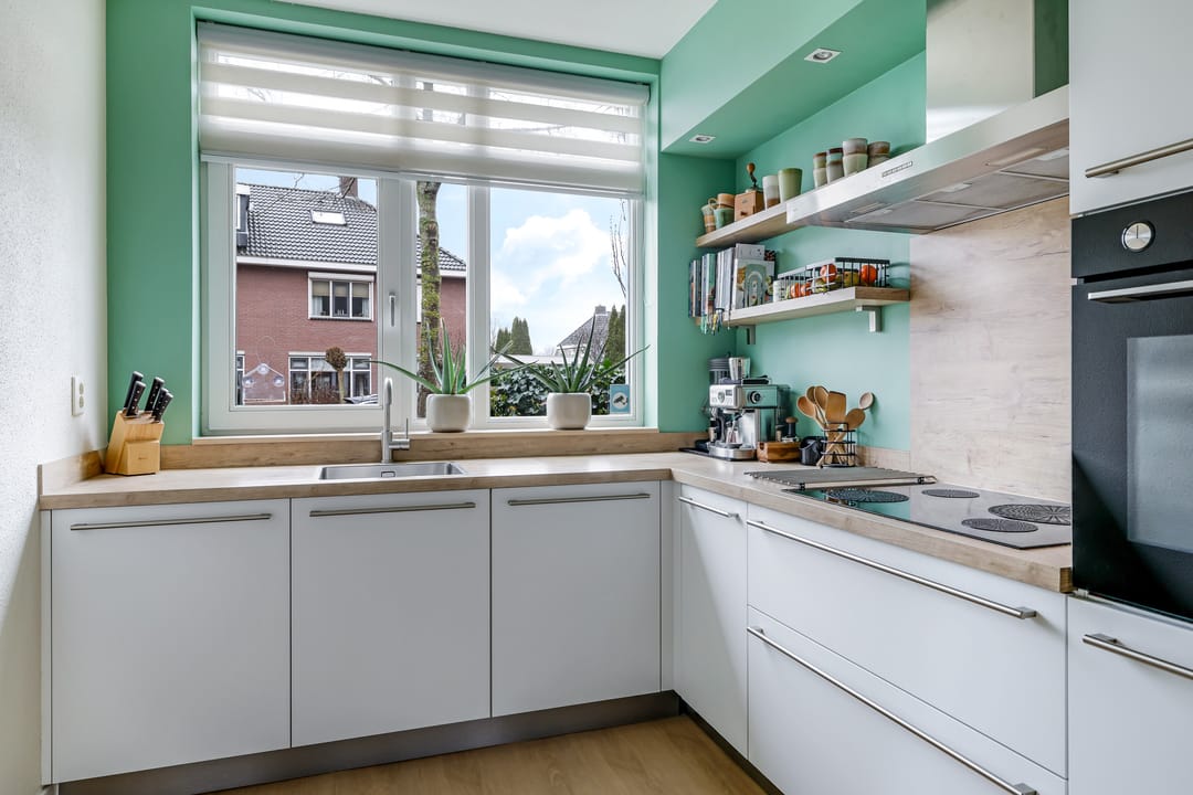 Photo 31 of Paardenbloem 32