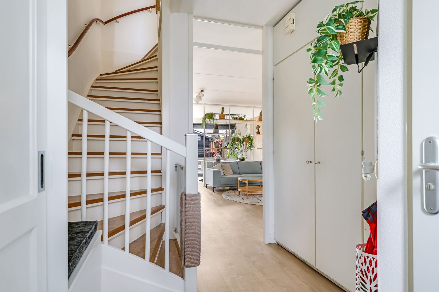 Photo 35 of Paardenbloem 32