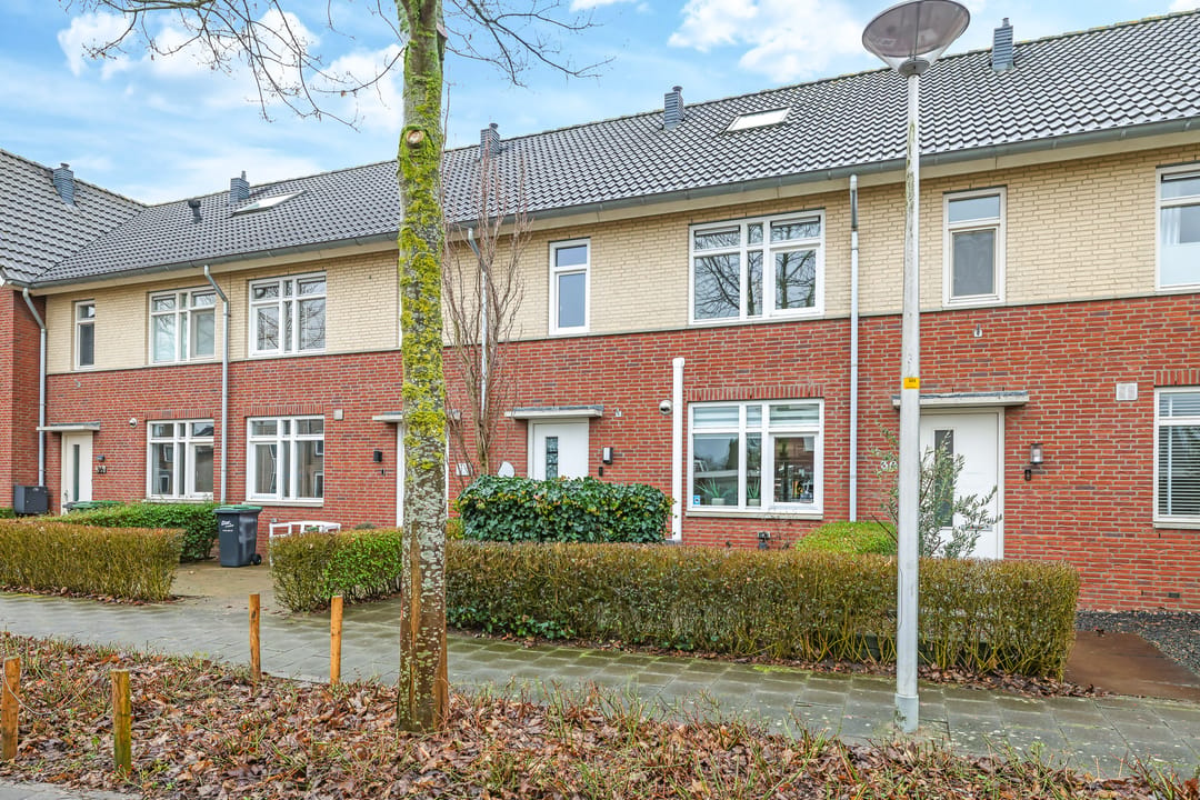 Photo 67 of Paardenbloem 32