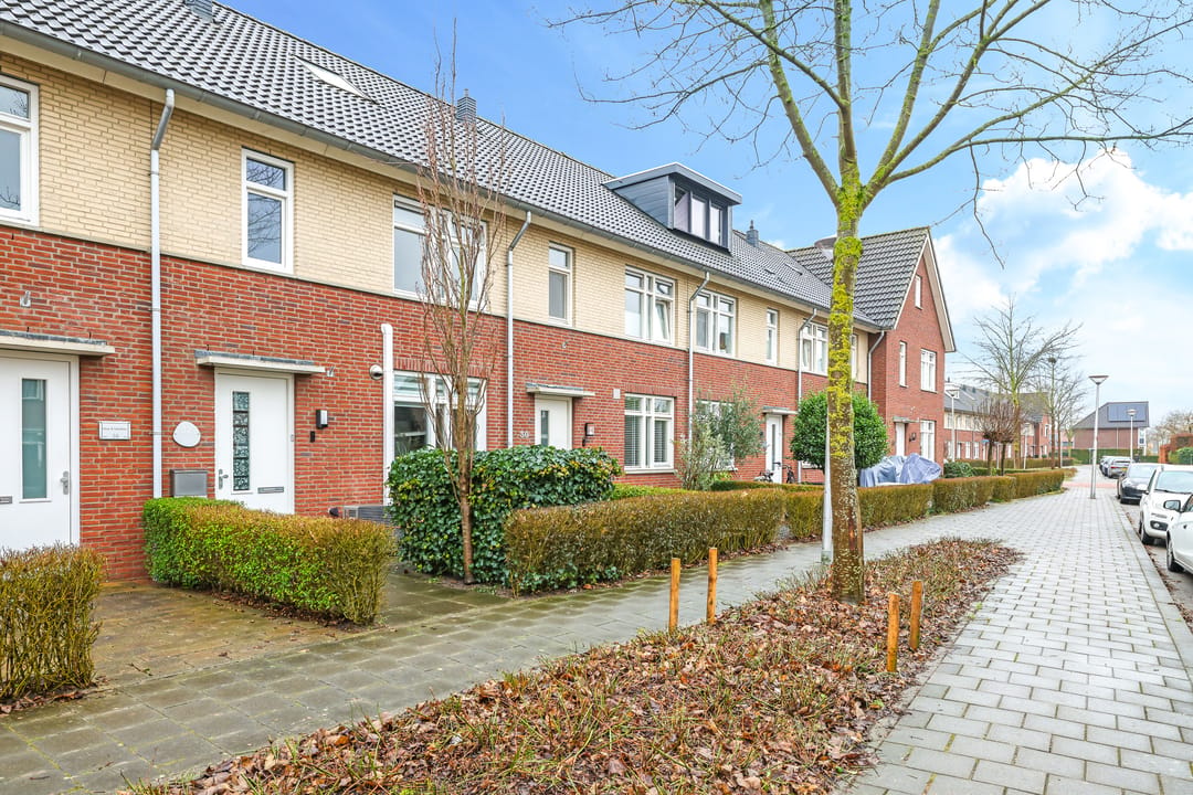 Photo 68 of Paardenbloem 32