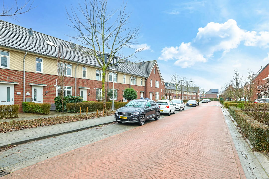 Photo 71 of Paardenbloem 32