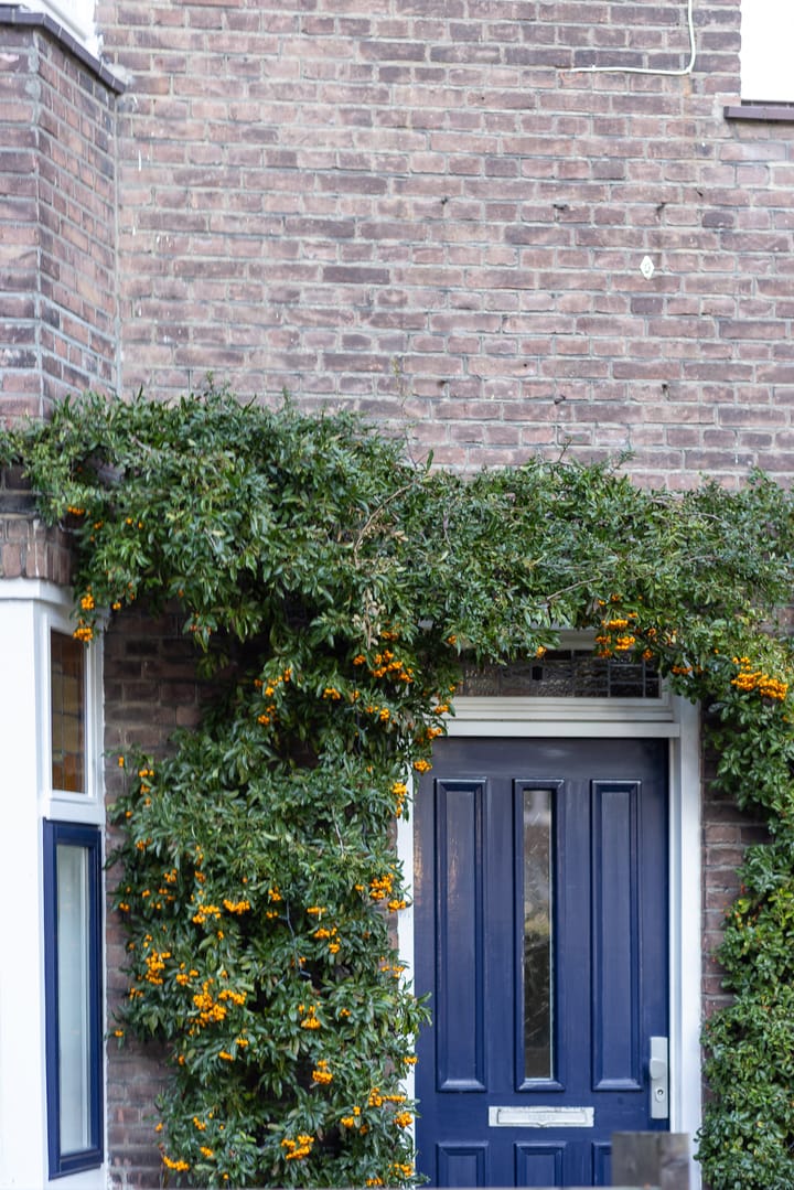 Photo 34 of Violenstraat 14-A