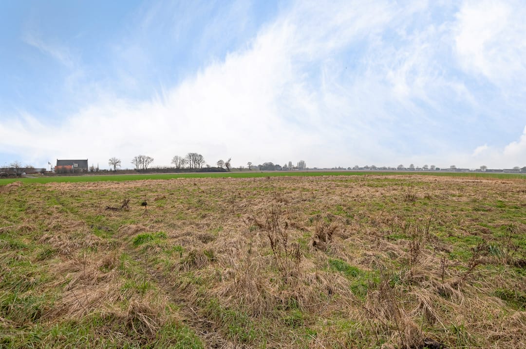 Foto 31 van Van den Endelaan 117