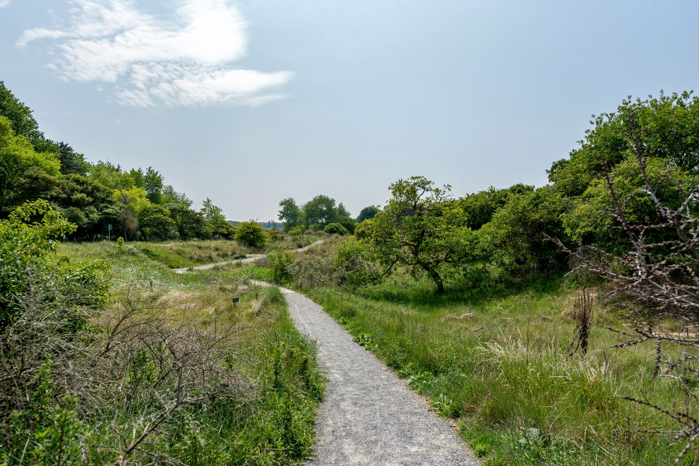 Foto 34 van Gentsestraat 225