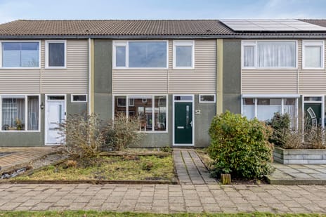 undefined main image