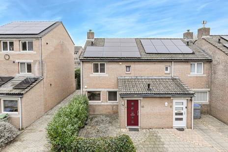 undefined main image