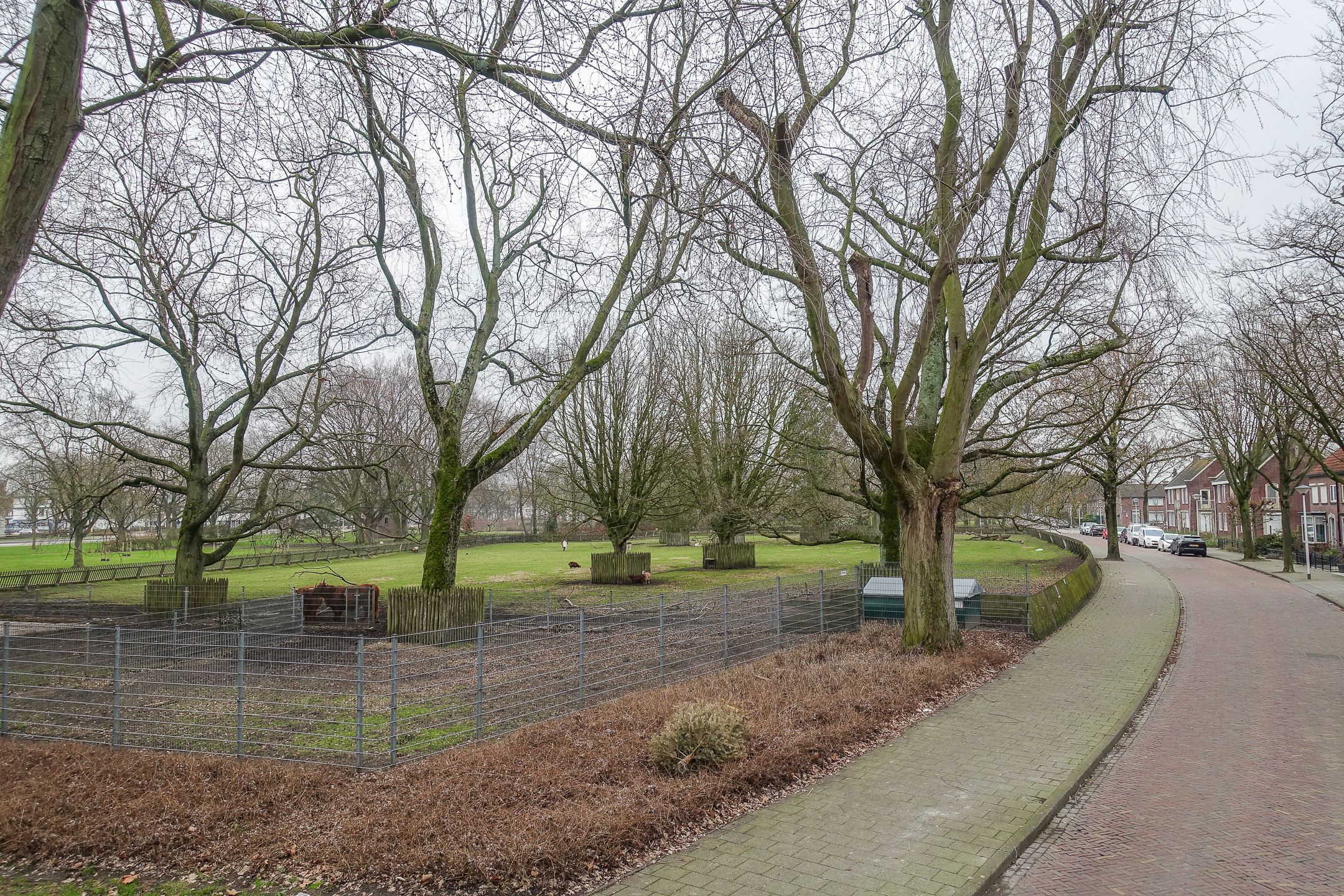 Foto 27 van Hortensialaan 6