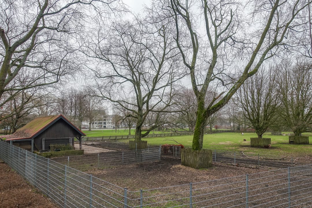 Foto 28 van Hortensialaan 6