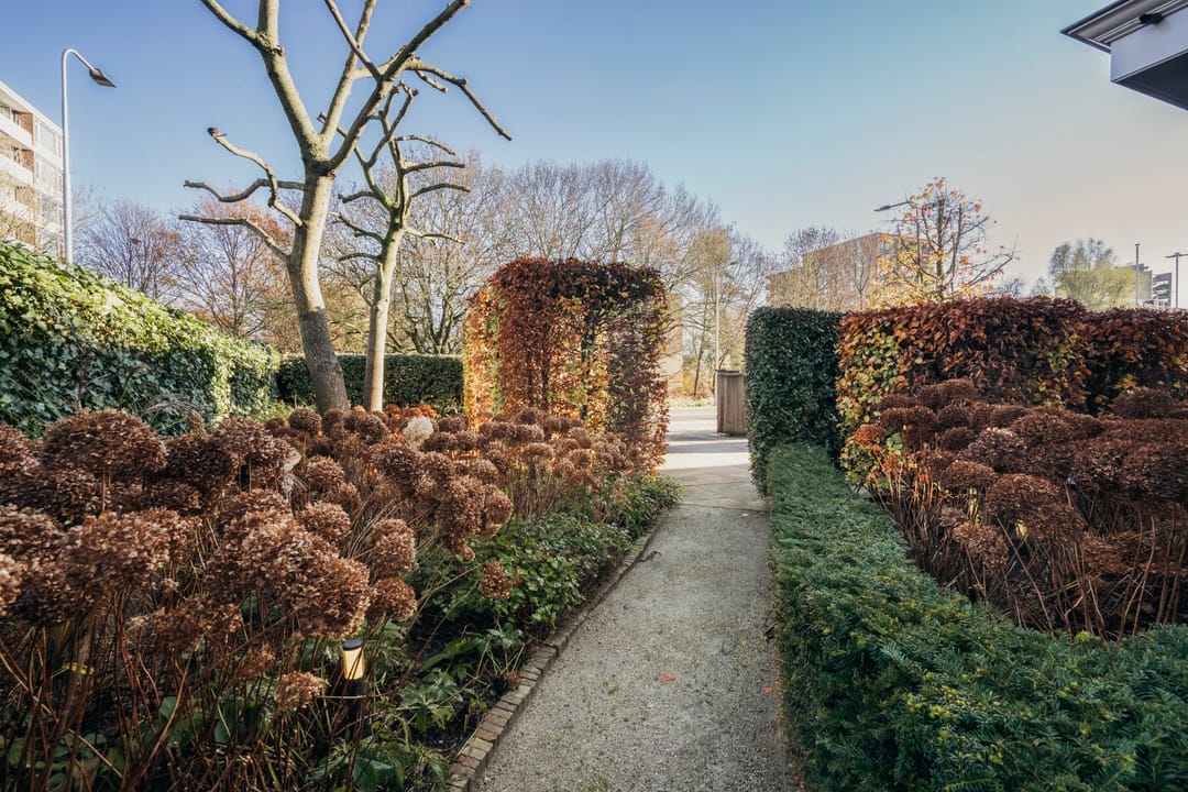 Photo 62 of Handweg 157