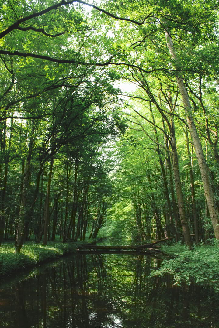 Foto 3 van Amstelveenseweg 852