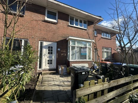 Anemoonstraat thumbnail