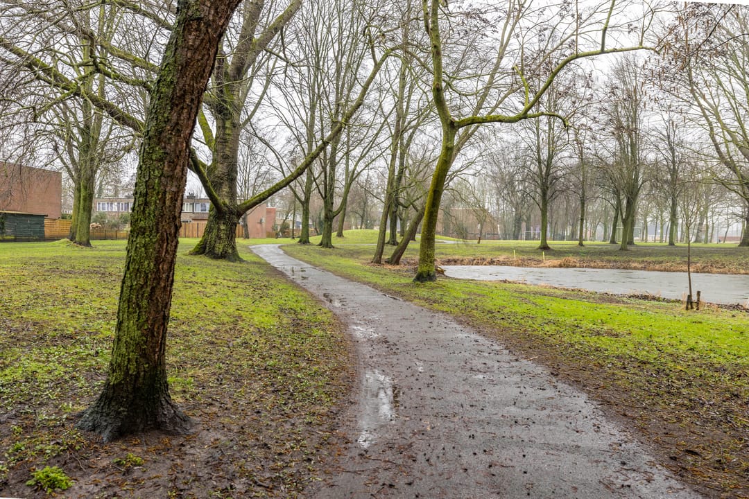 Photo 53 of Meerpaal 370