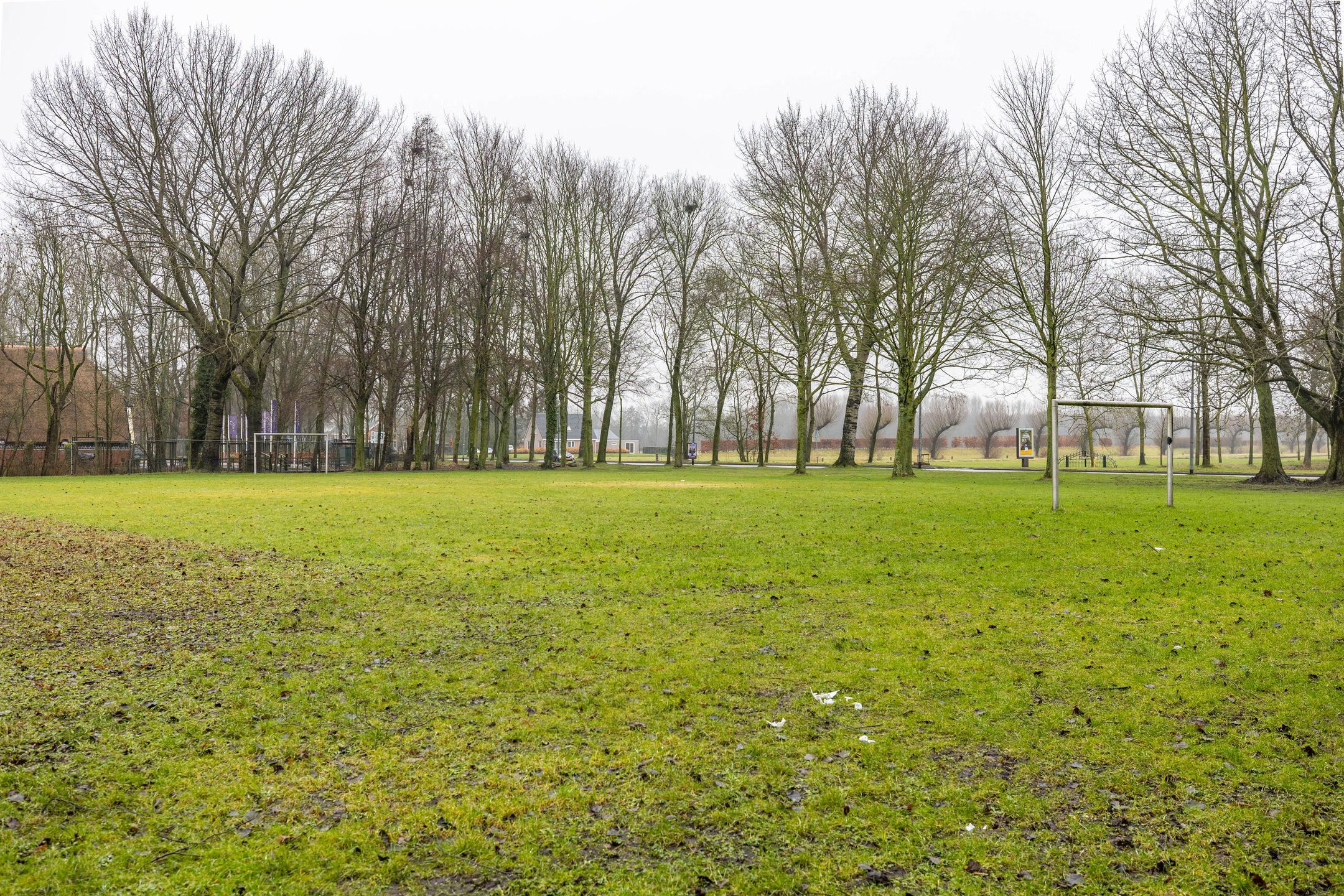 Photo 54 of Meerpaal 370