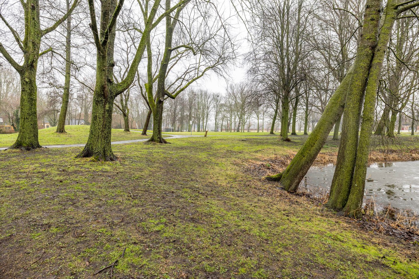 Photo 55 of Meerpaal 370