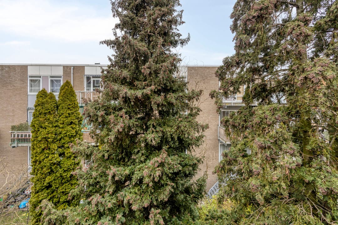 Foto 28 van Spanjaardstraat 71