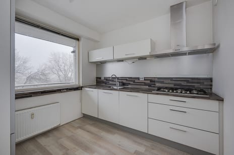 Prins Frederiklaan 255 secondary image