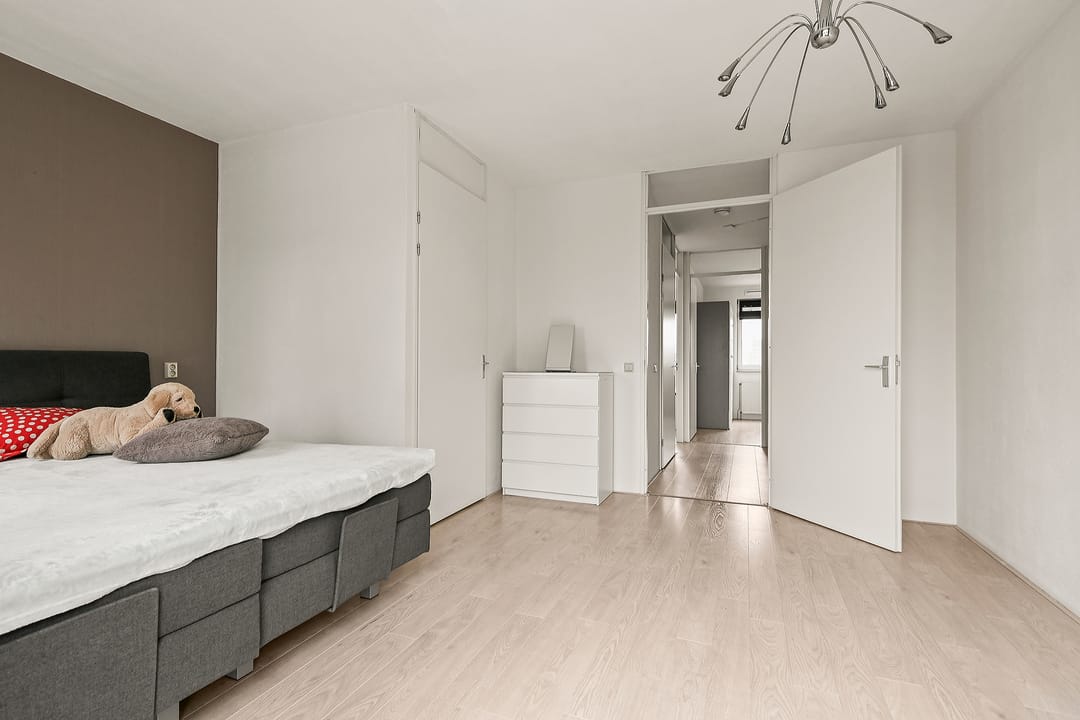 Foto 22 van De Muy 313