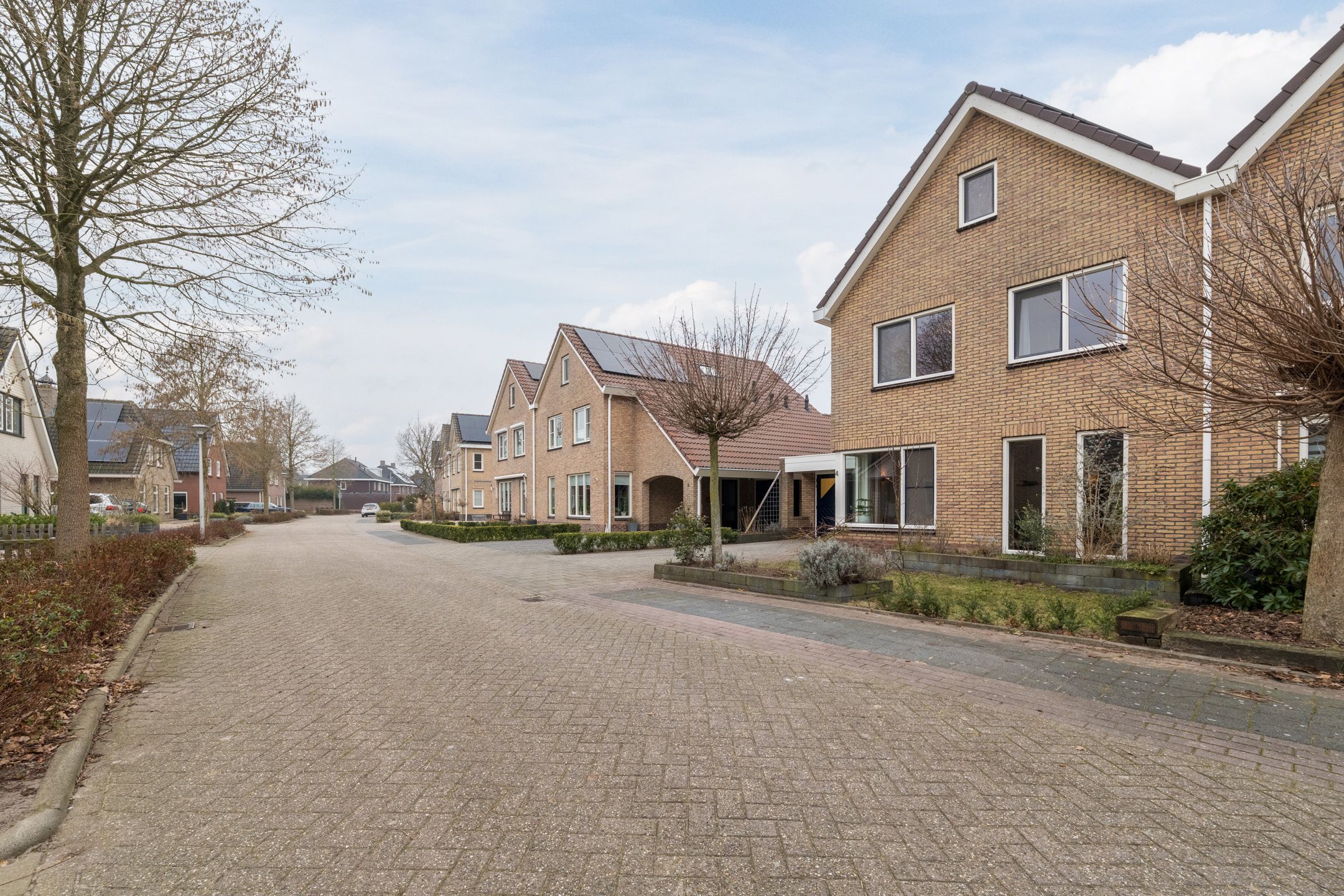 Foto 3 van Reggeland 4