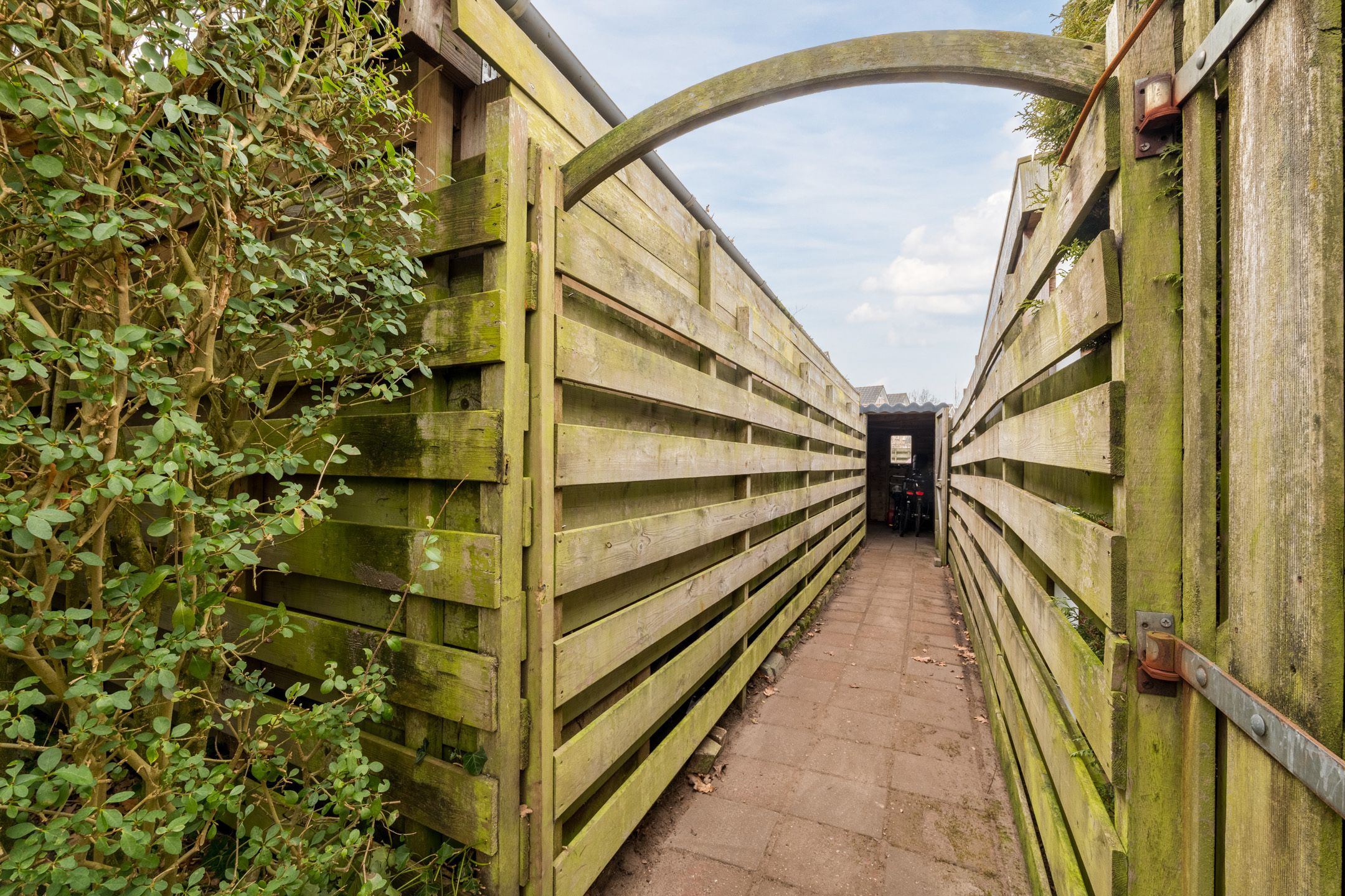 Foto 48 van Reggeland 4