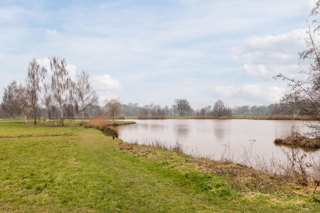 Foto 53 van Reggeland 4