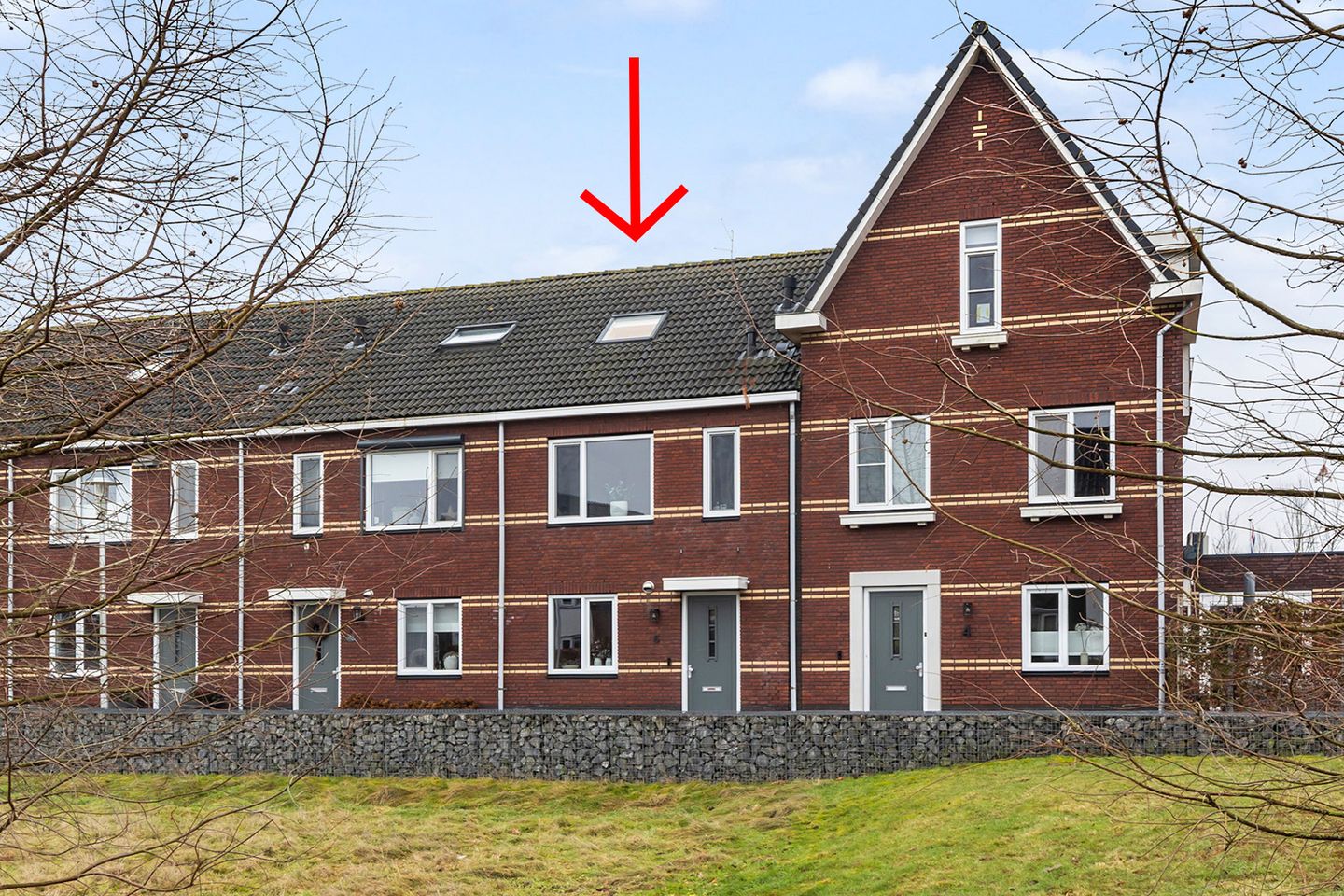 Foto 1 van Kastanjeboleet 6