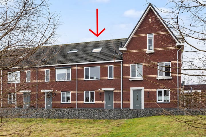 Kastanjeboleet 6 main image