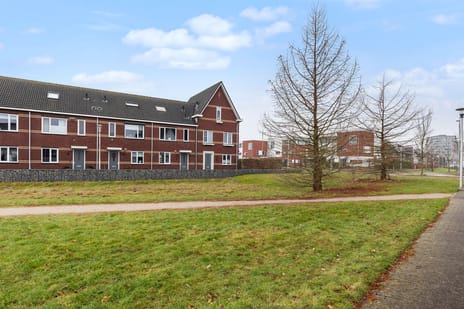 Kastanjeboleet 6 secondary image