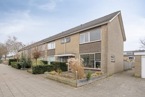 undefined main image