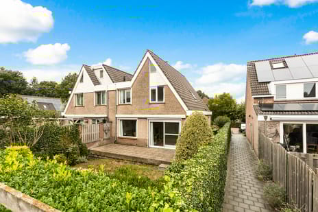 Korenbloem 1-b secondary image