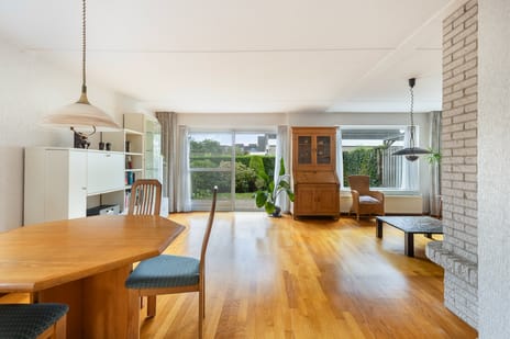 Korenbloem 1-b tertiary image