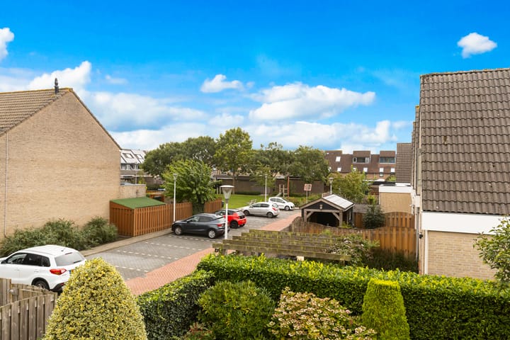 Foto 17 van Korenbloem 1-B