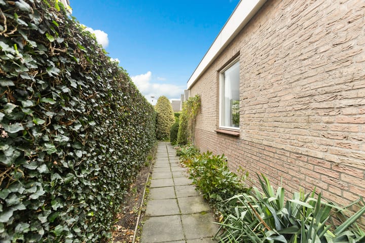 Foto 32 van Korenbloem 1-B