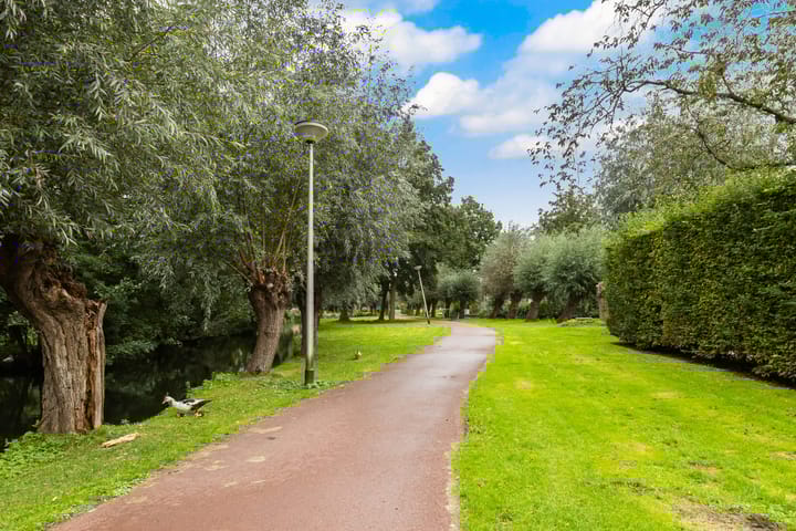 Foto 42 van Korenbloem 1-B