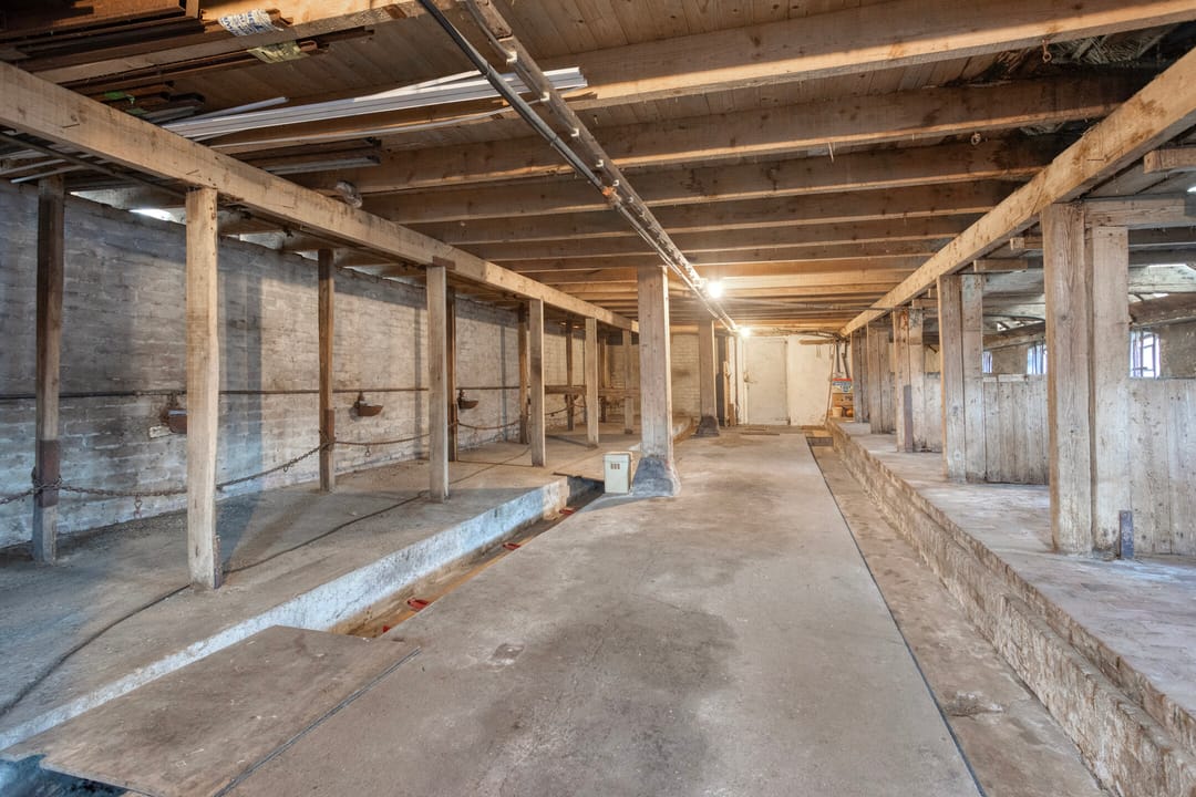 Photo 26 of Wedzebuorren 31