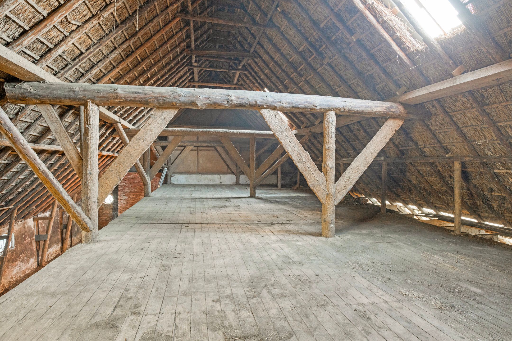 Photo 30 of Wedzebuorren 31