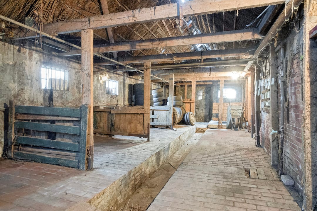 Photo 31 of Wedzebuorren 31