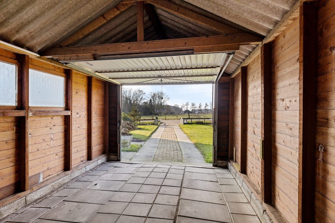 Foto 38 van Frijstêd 11